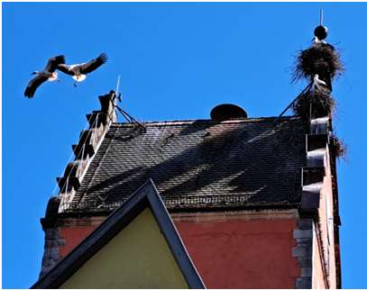 Stadtansicht Dinkelsbühl